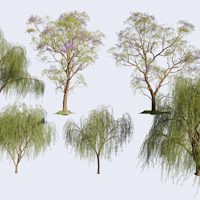  柳树 蓝花楹树 树木su模型 