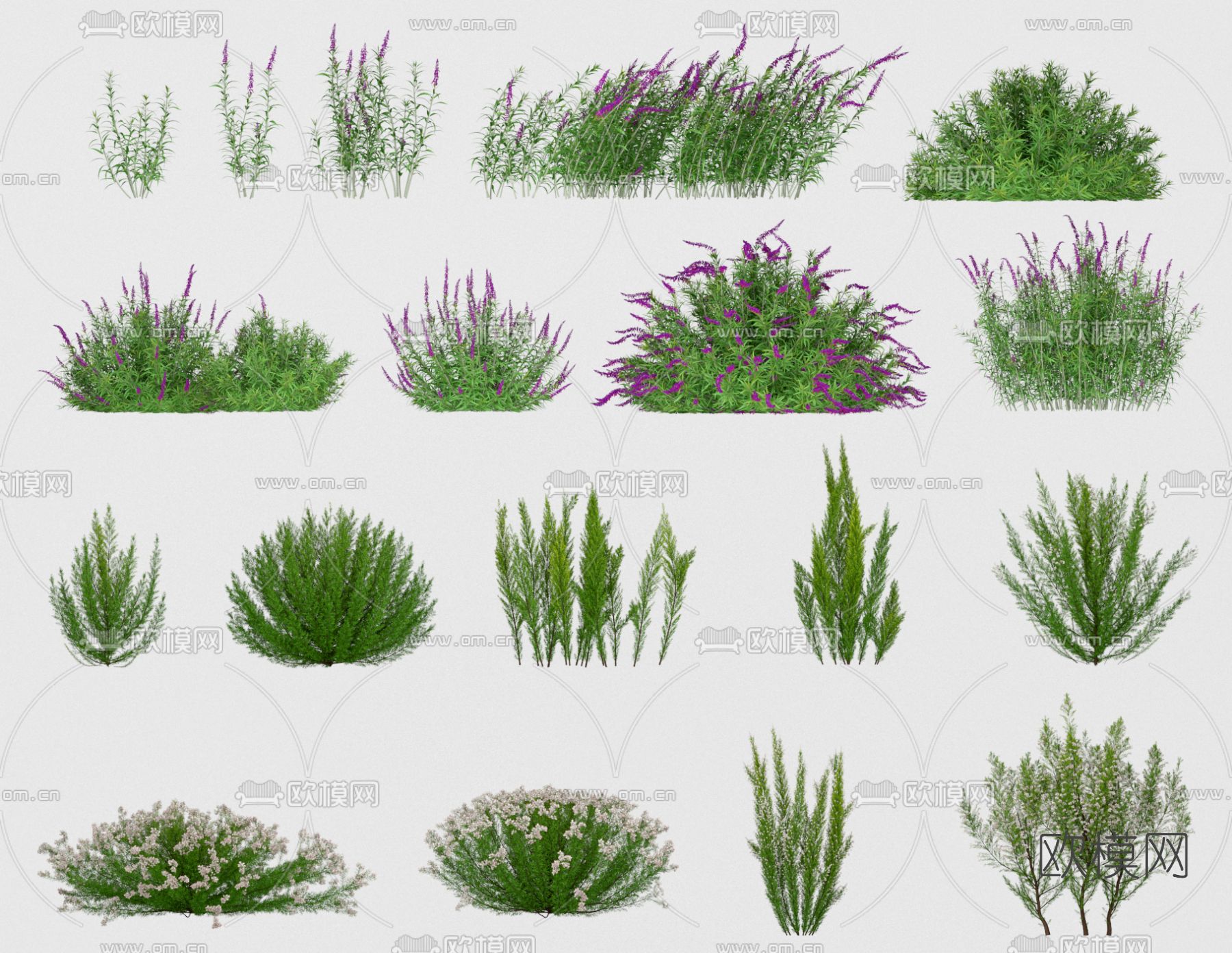 现代花草3d模型下载