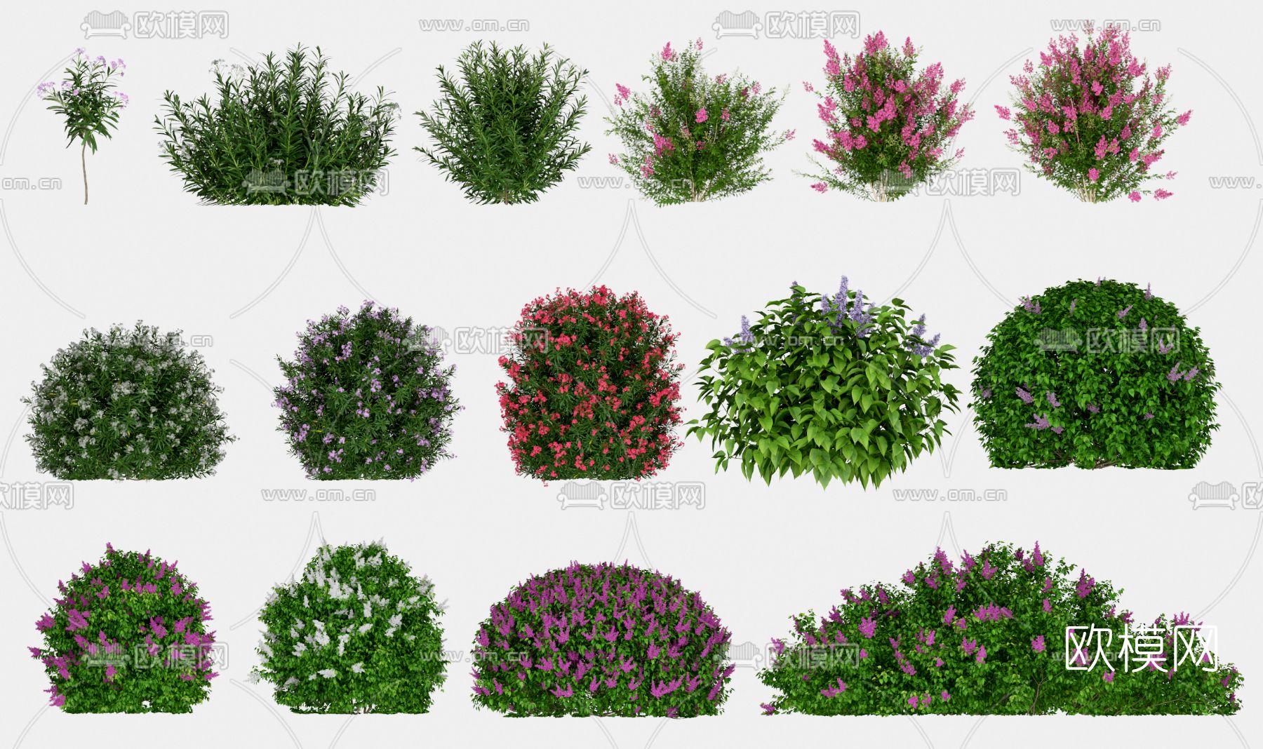 现代灌木丛3d模型下载