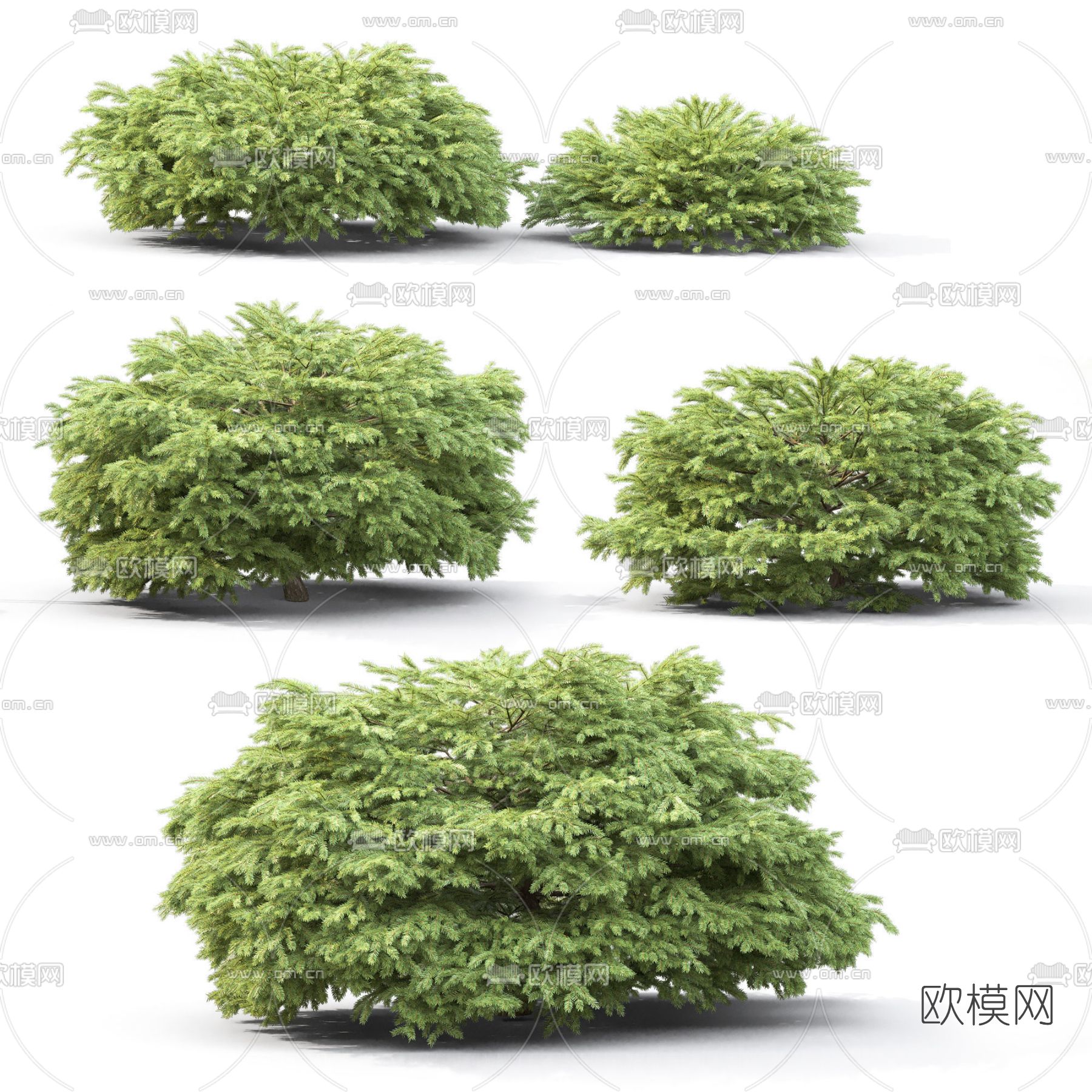 现代灌木丛3d模型下载（渲染图1）