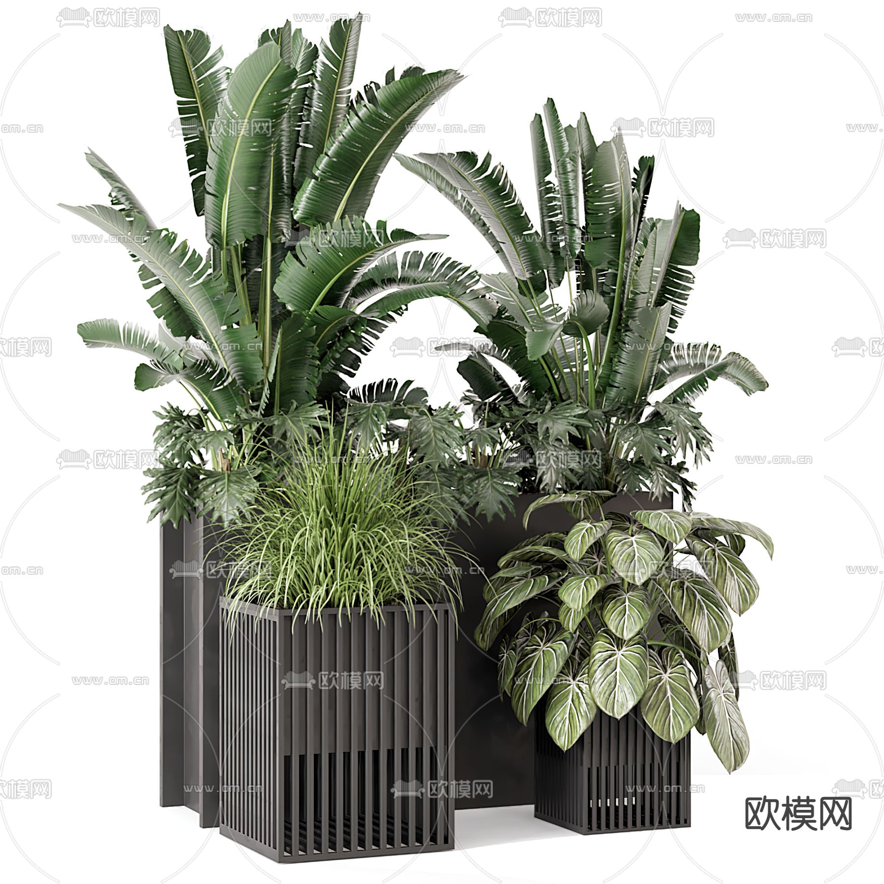 现代绿植盆景 盆栽3d模型下载