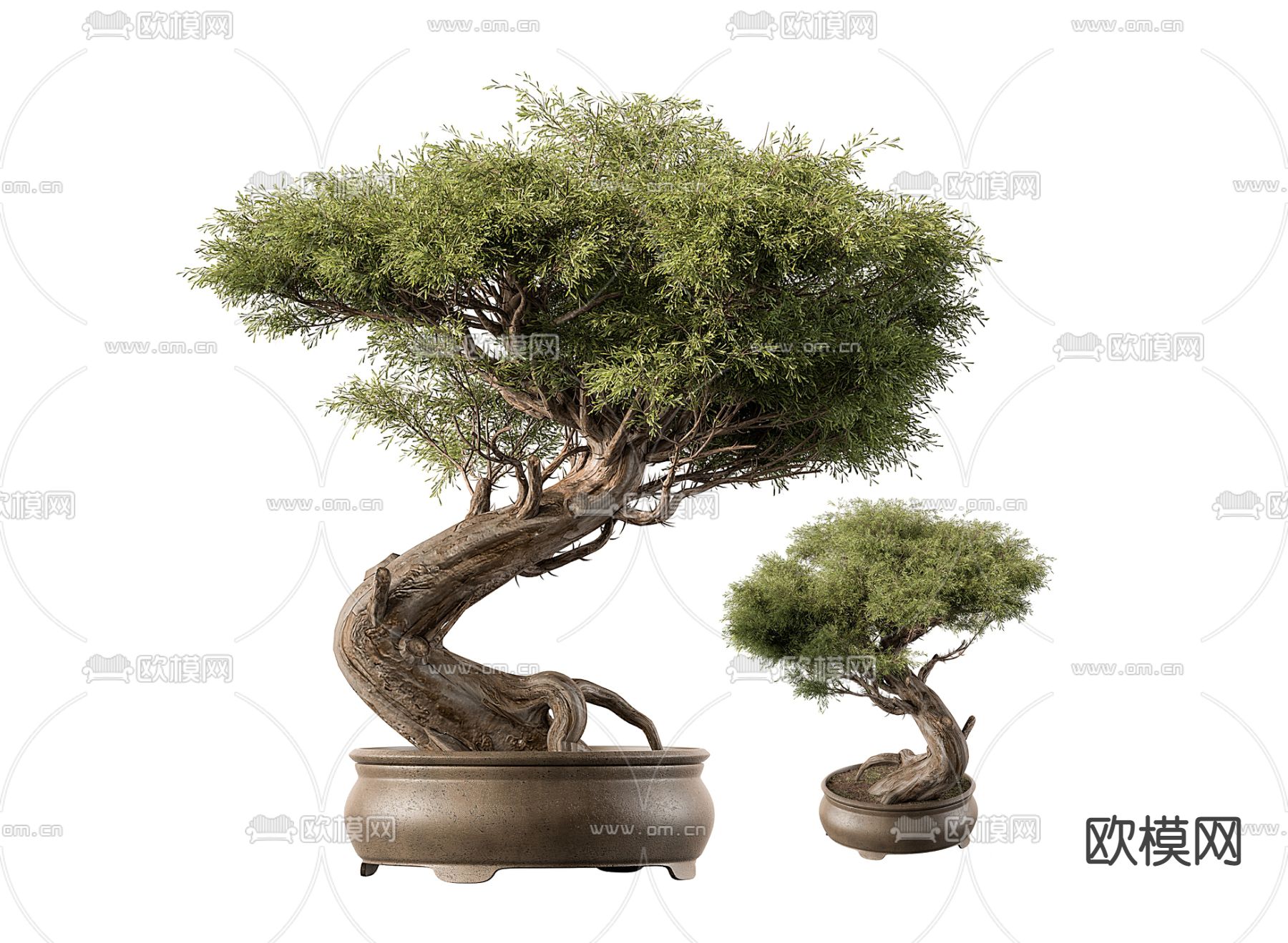 新中式松树盆栽 盆景3d模型下载_ID12193631_3dmax免费模型-欧模网