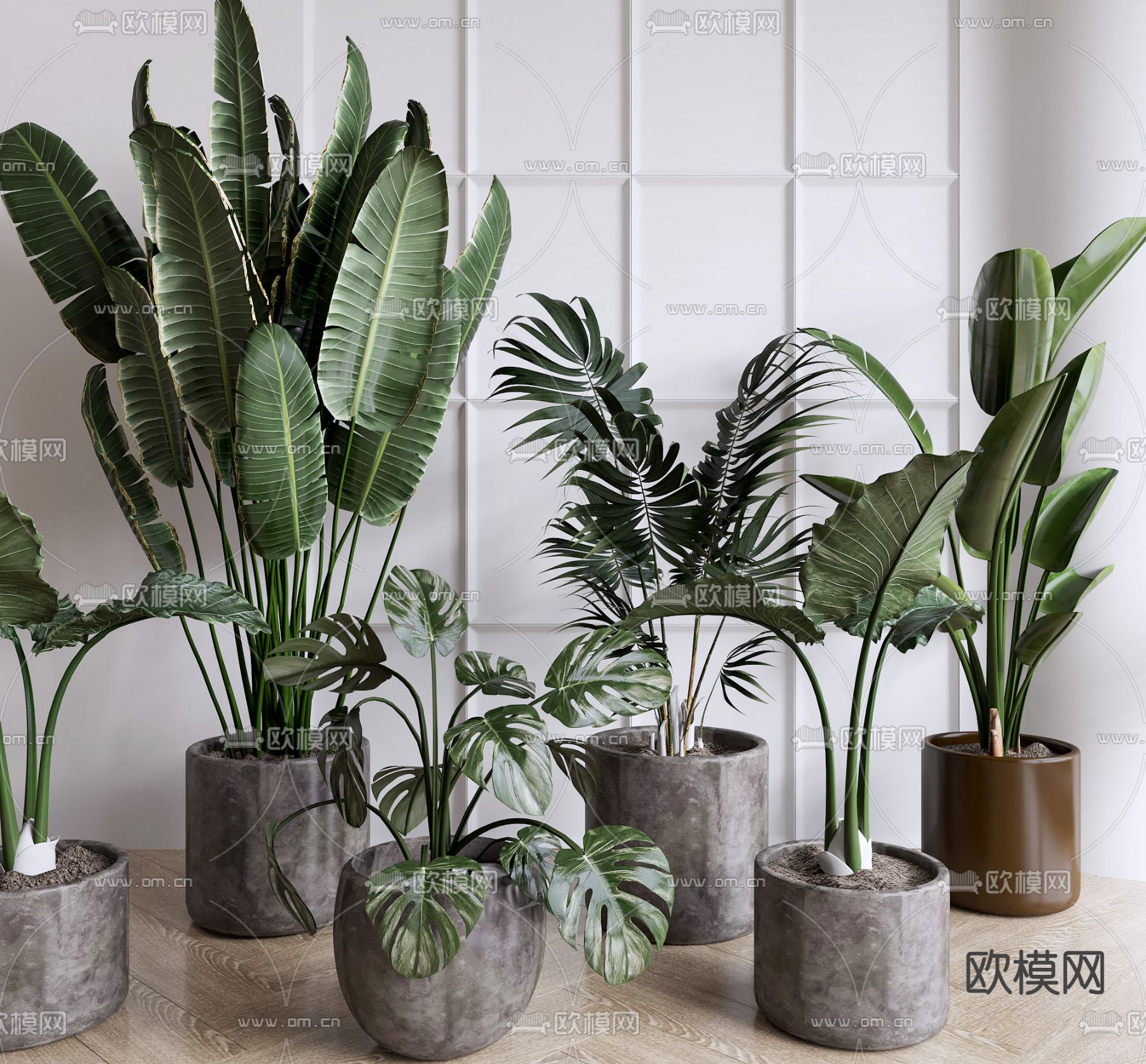 现代绿植盆栽 盆景3d模型下载_ID12195172_3dmax免费模型-欧模网
