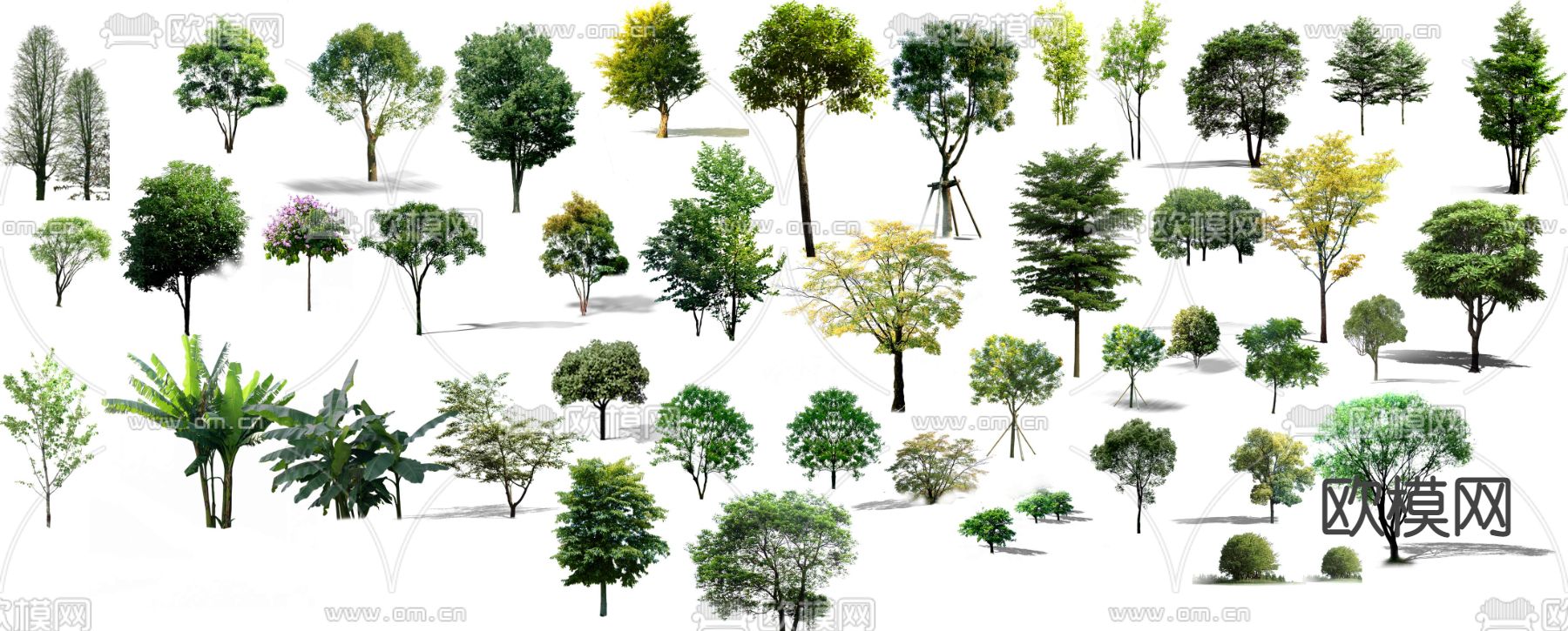 大树树木景观树psd下载_ID12196051_3dmax免费模型-欧模网