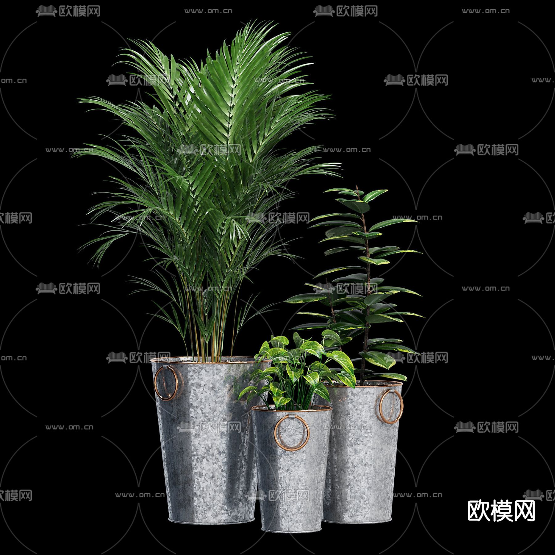 现代植物盆栽 盆景3d模型下载（渲染图1）