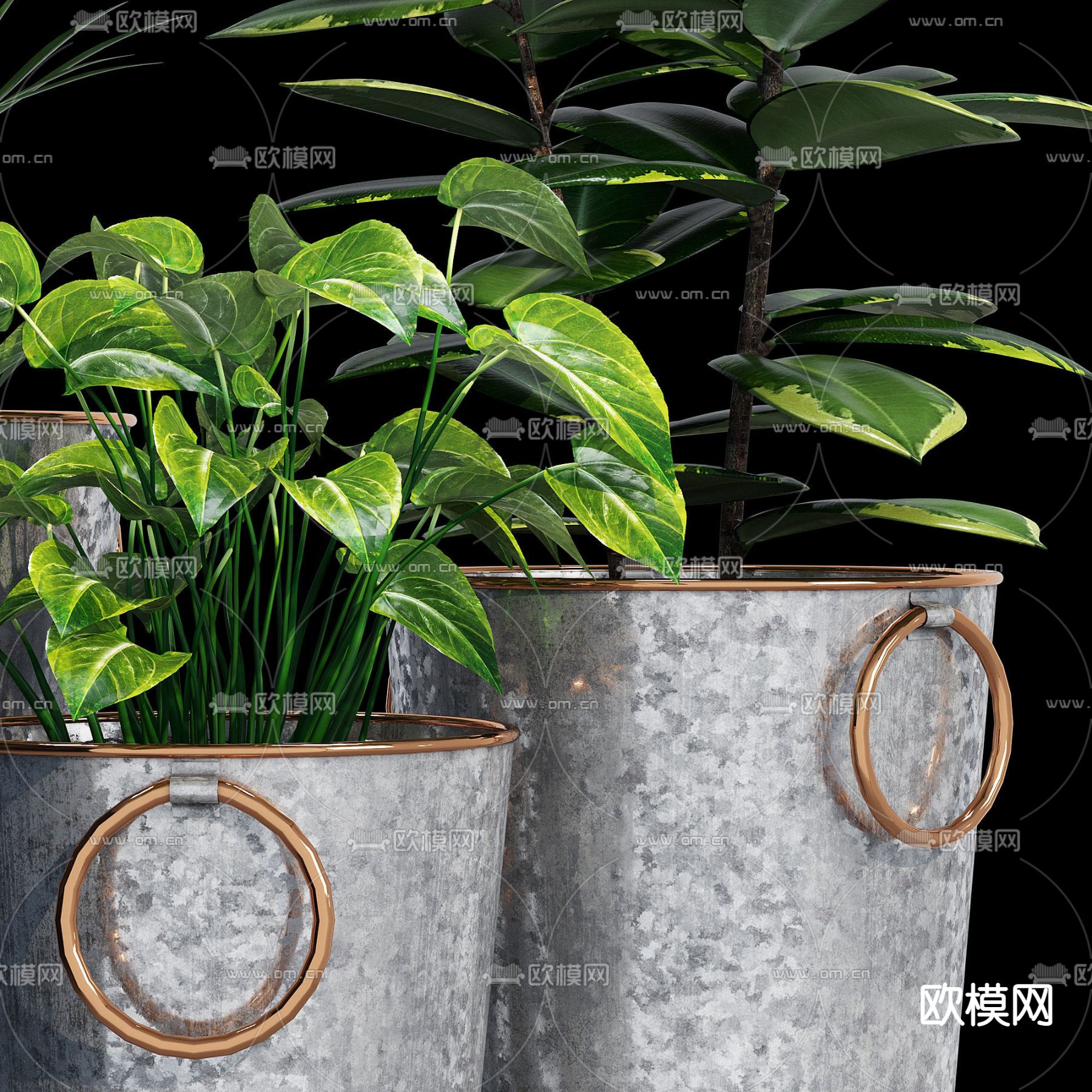 现代植物盆栽 盆景3d模型下载（渲染图2）