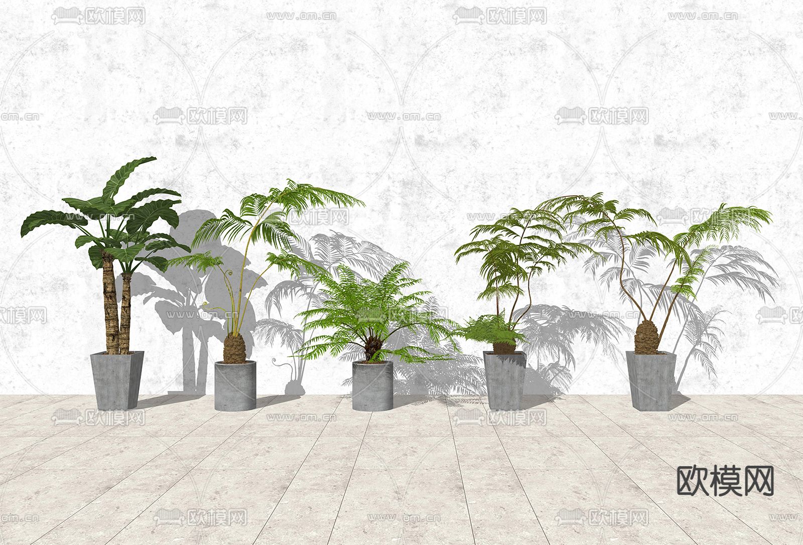 蕨类绿植盆栽 盆景su模型下载（渲染图1）