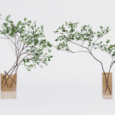  现代水培绿植 花瓶su模型 