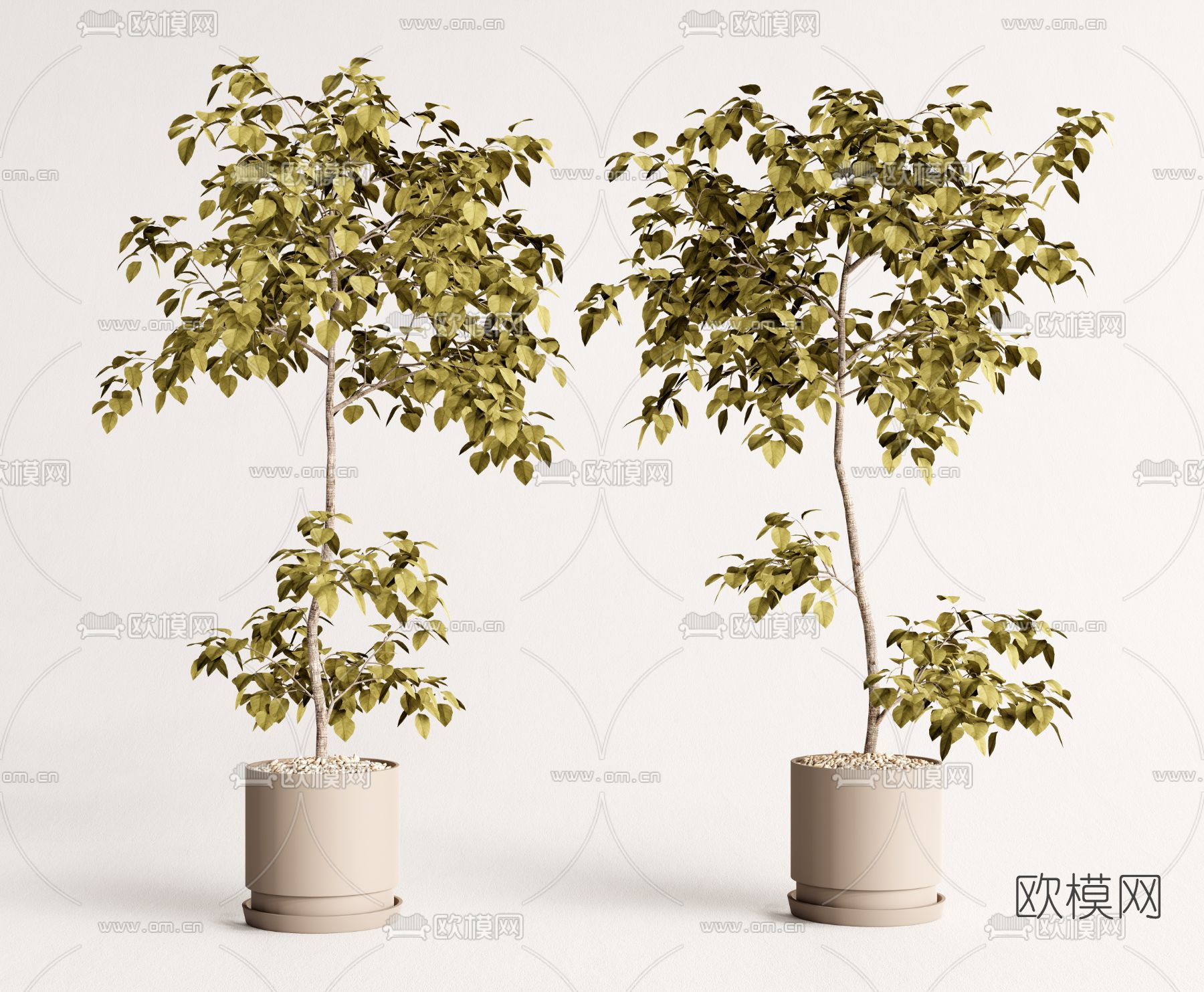 现代植物盆栽3d模型下载_ID12197726_3dmax免费模型-欧模网