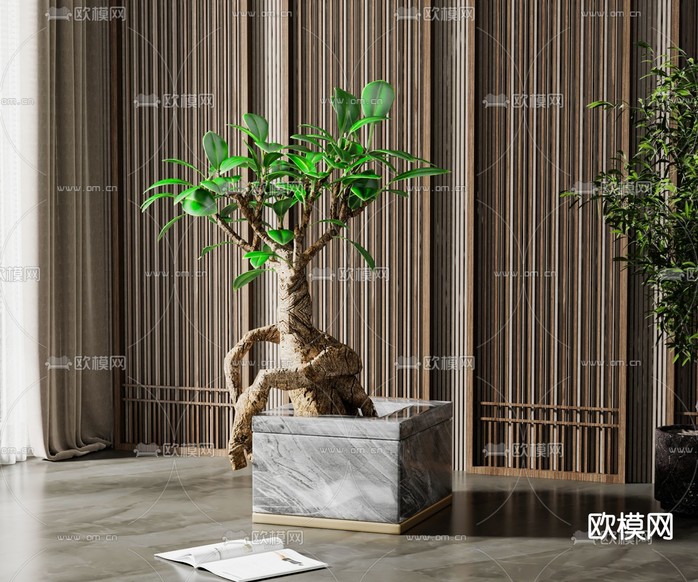 新中式人参榕 绿植盆栽3d模型下载