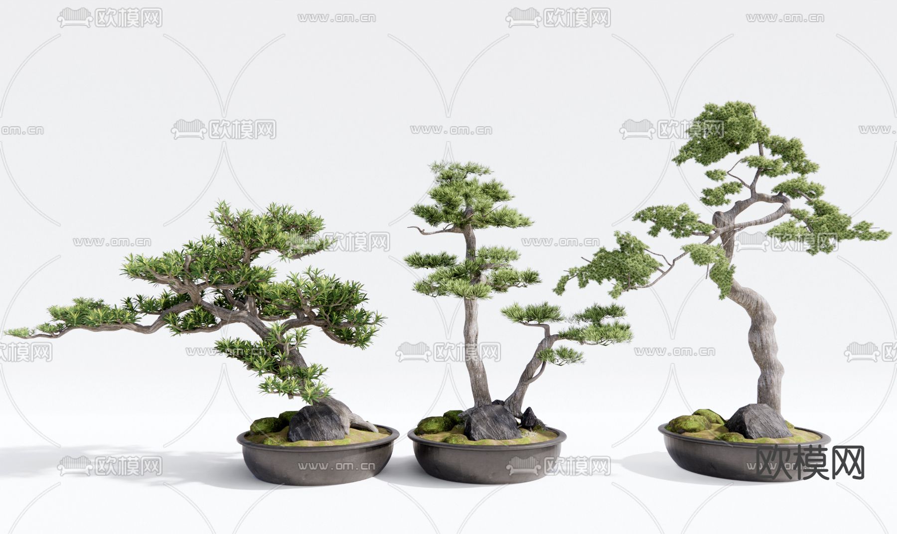 新中式松树盆栽 盆景3d模型下载_ID12195758_3dmax免费模型-欧模网