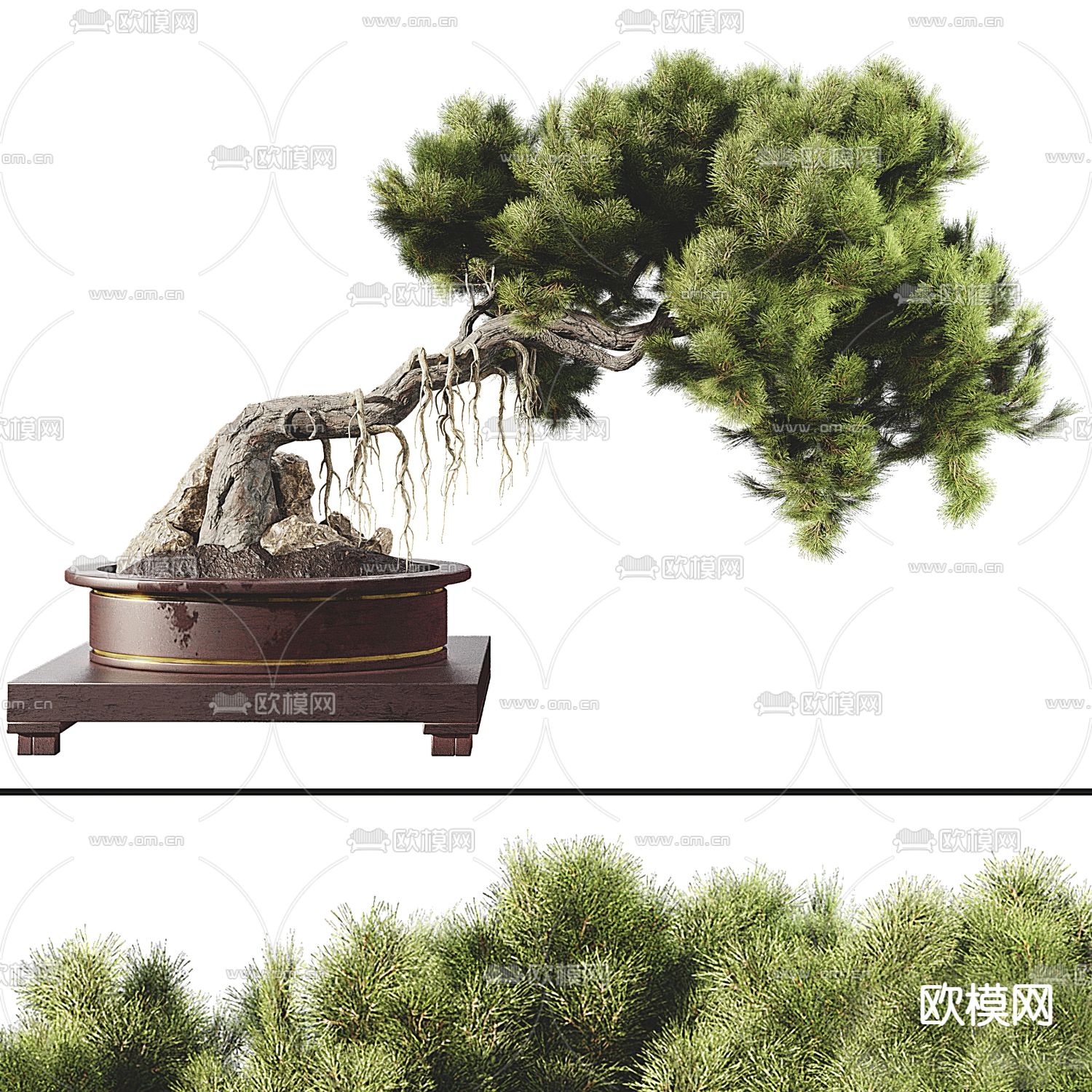 新中式松树盆景 罗汉松盆栽3d模型下载_ID12198618_3dmax免费模型-欧模网