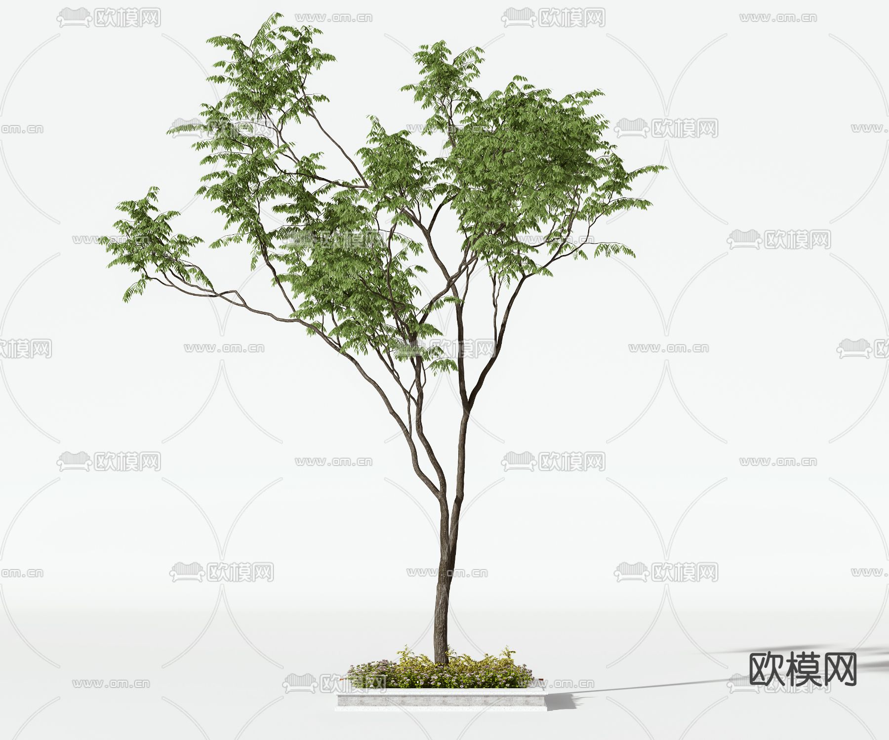 树木 大树3d模型下载_ID12200039_3dmax免费模型-欧模网