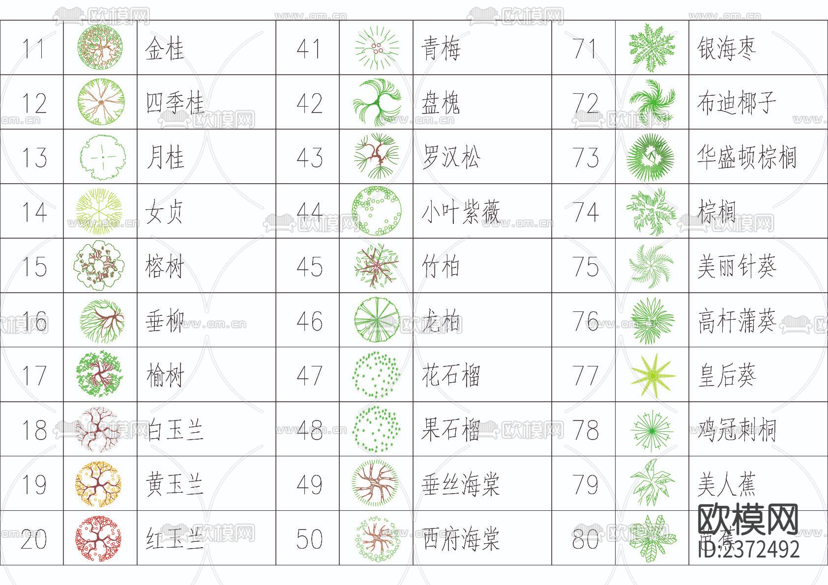 苗木表cad施工图下载（渲染图5）