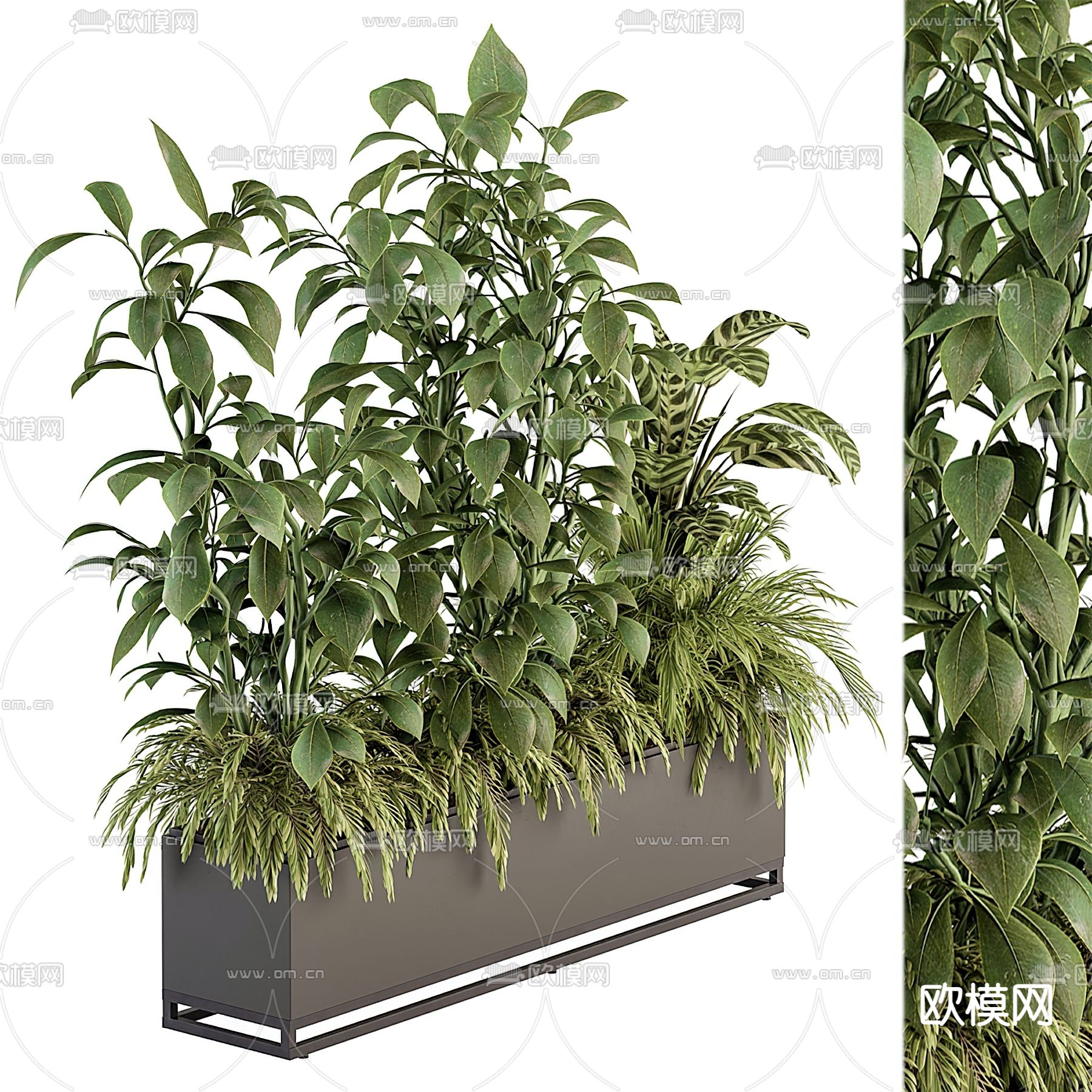 现代盆栽 盆景3d模型下载