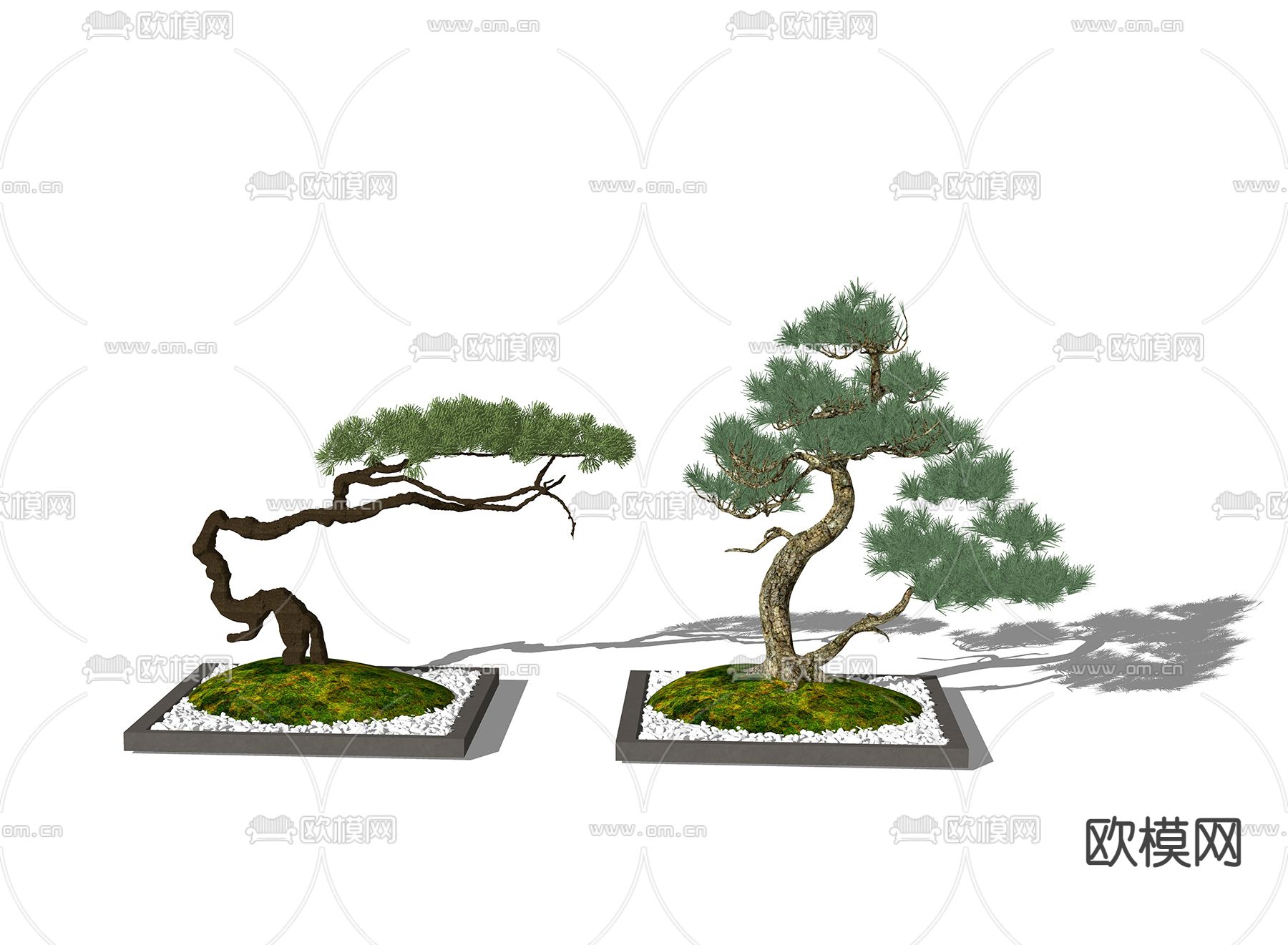 新中式松树su模型下载（渲染图1）