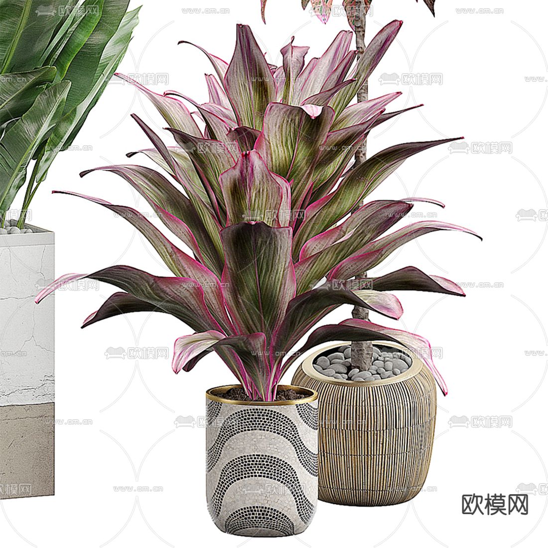 现代绿植盆栽 盆景3d模型下载（渲染图2）