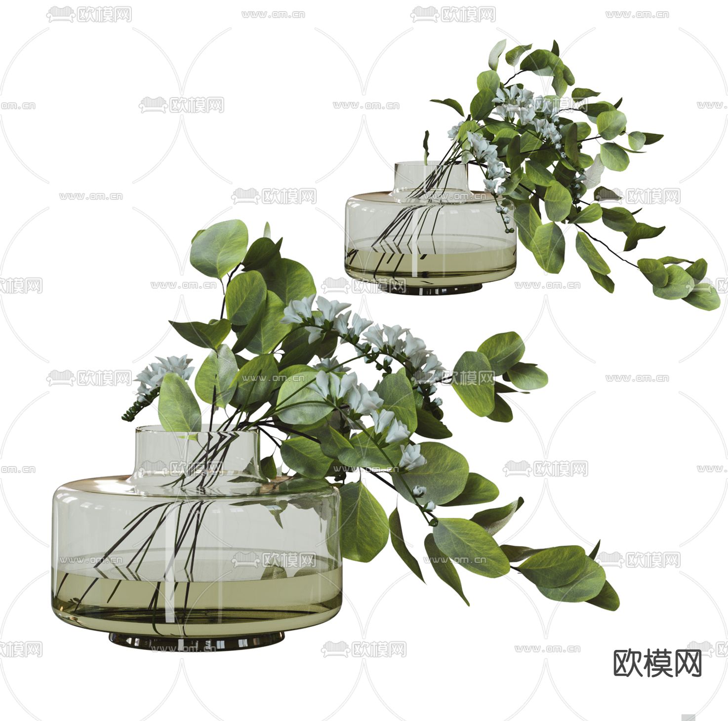 水培植物 玻璃花瓶3d模型下载