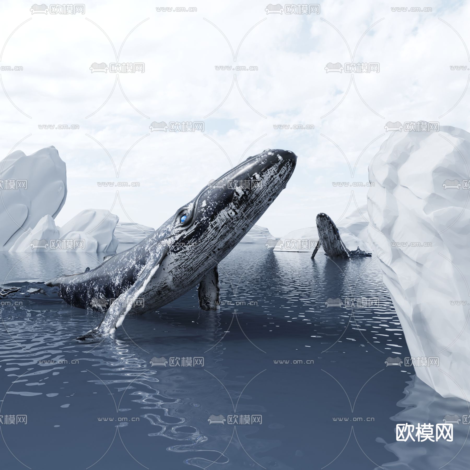 现代海洋鲸鱼su模型下载（渲染图1）
