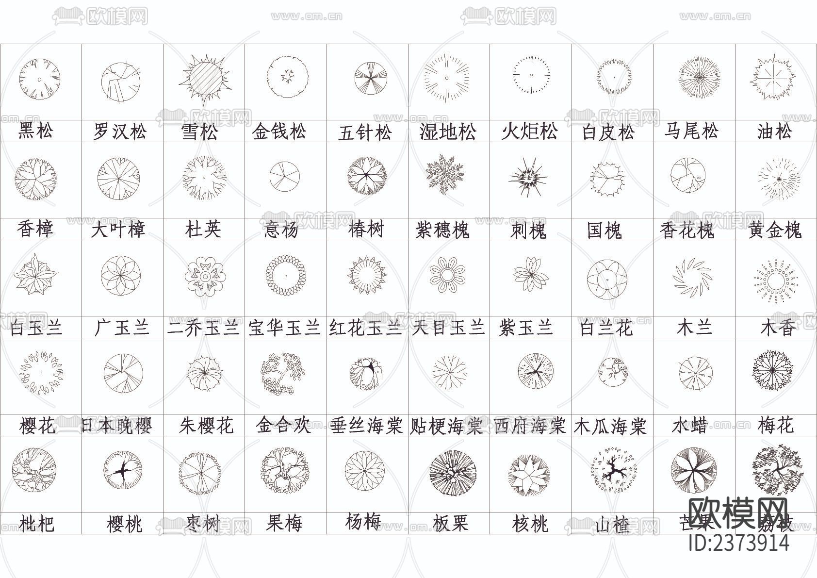 数百种平面树CAD图库下载（渲染图4）