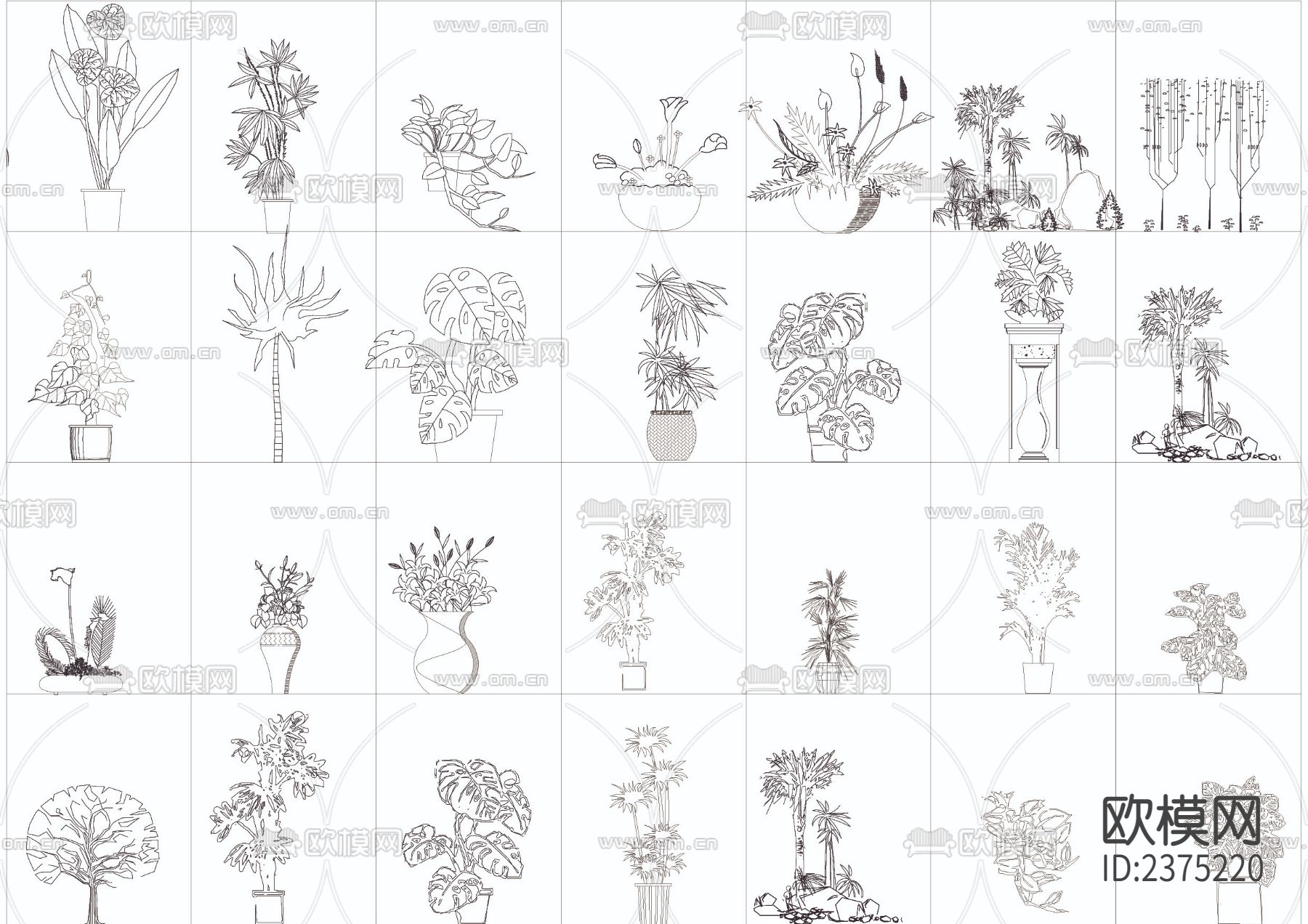 园林树CAD图库下载（渲染图4）