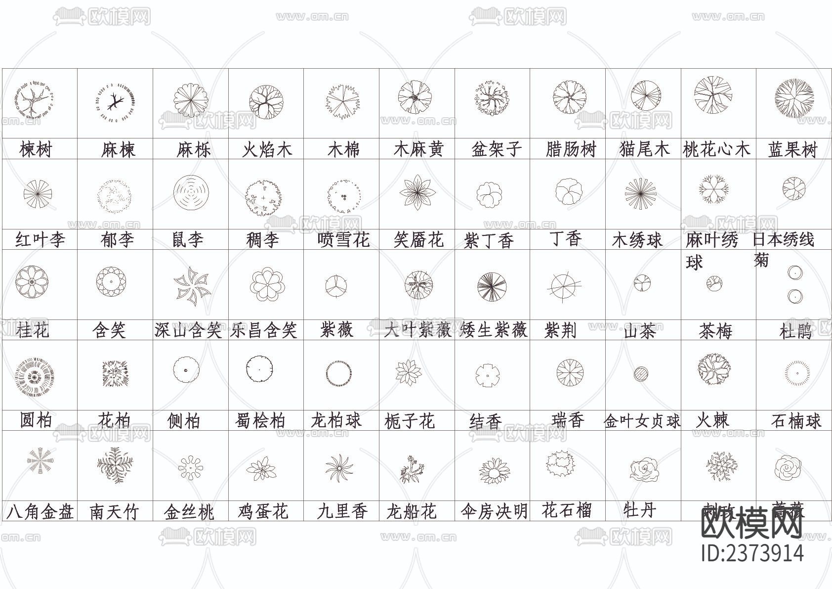 数百种平面树CAD图库下载（渲染图2）