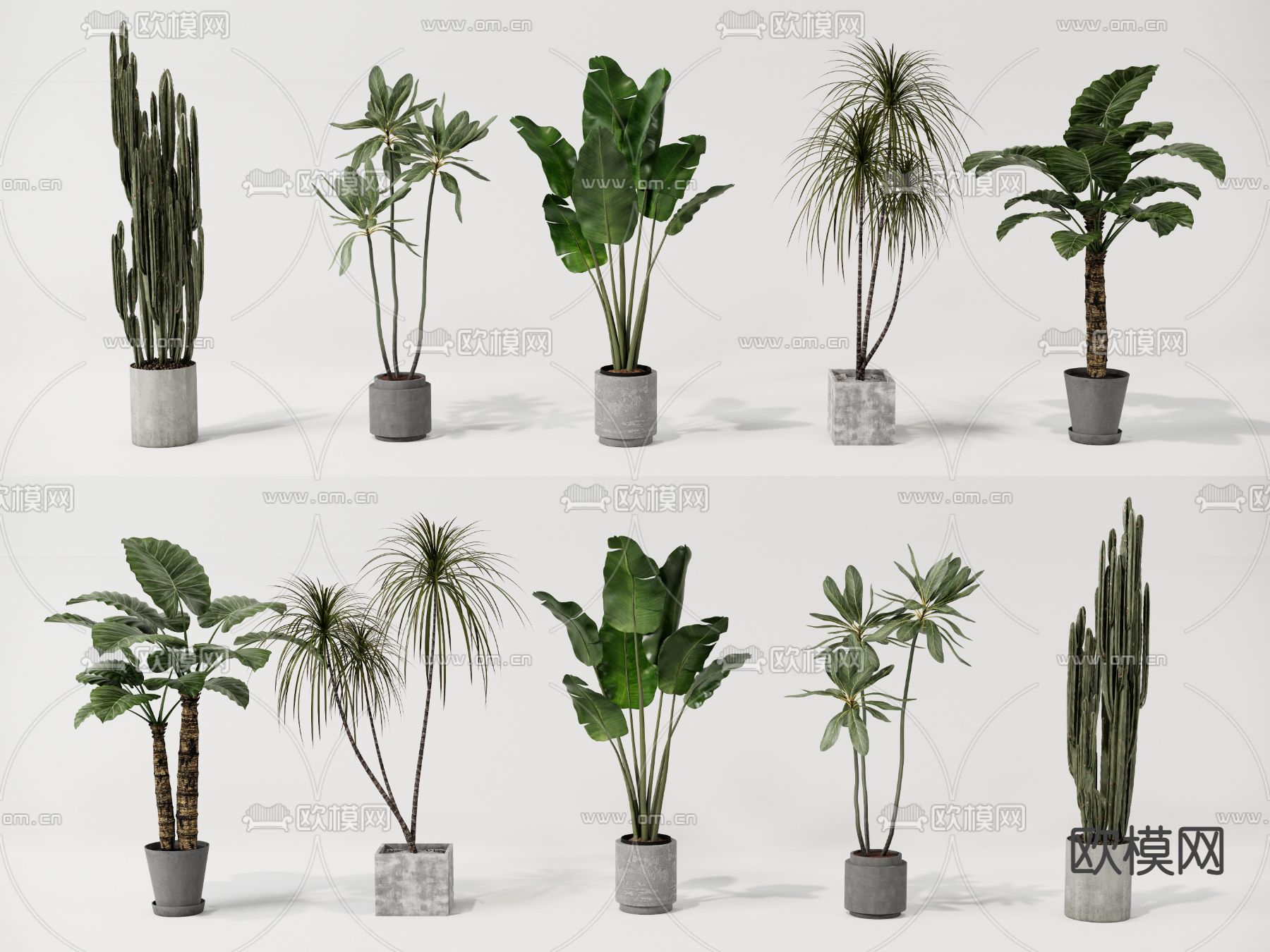 现代绿植盆栽su模型下载（渲染图1）