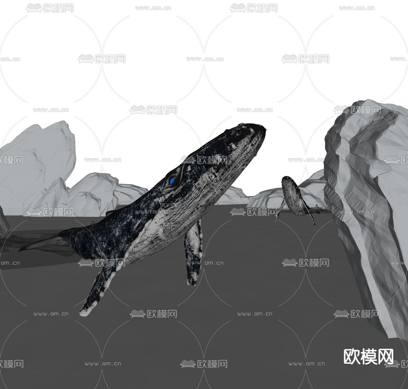 现代海洋鲸鱼su模型下载（渲染图2）