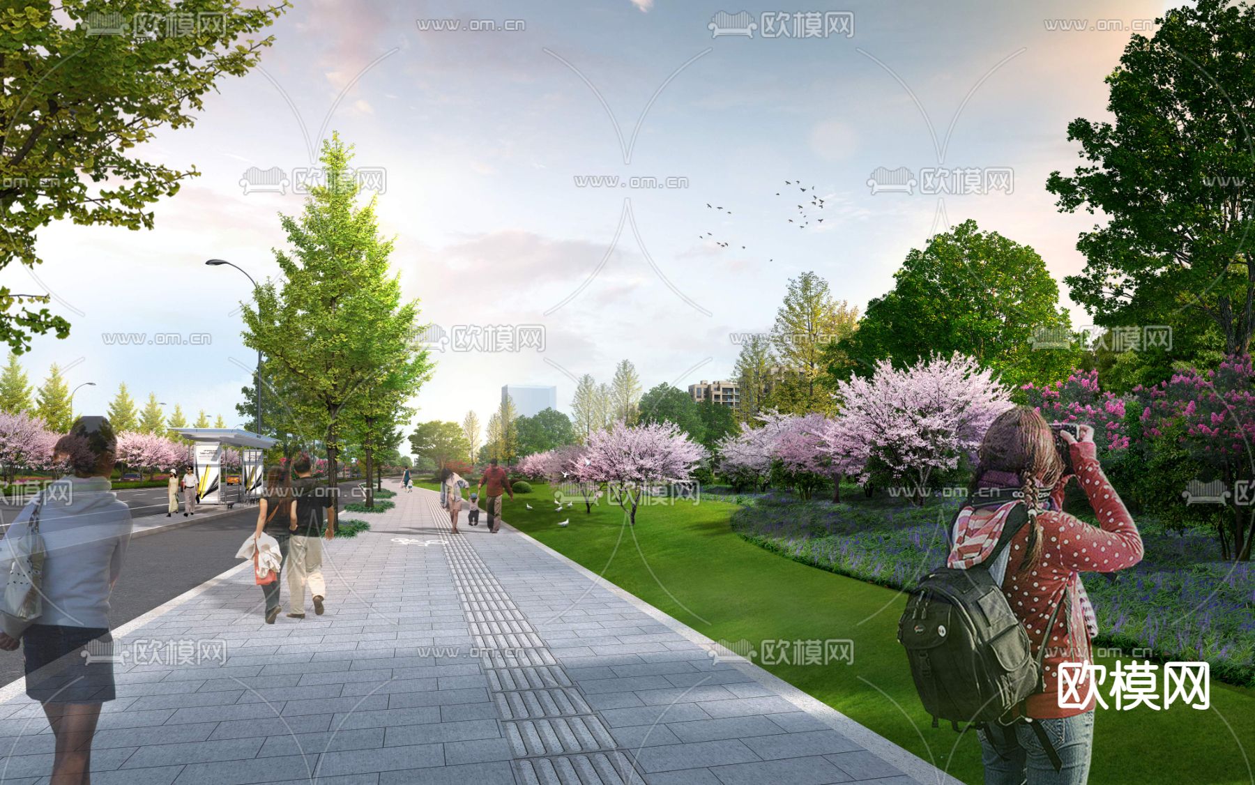 人行道景观psd下载