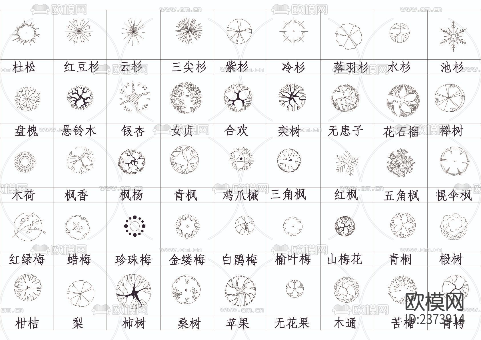 数百种平面树CAD图库下载（渲染图3）