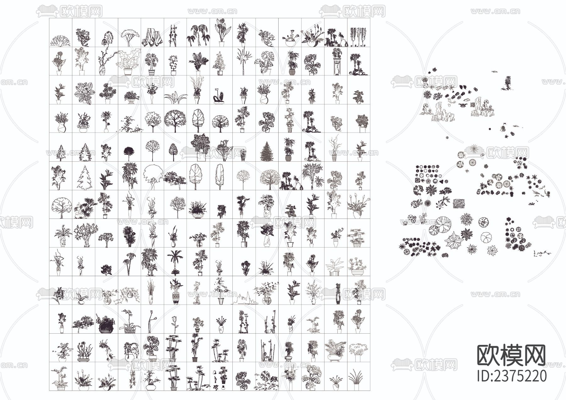 园林树CAD图库下载（渲染图1）