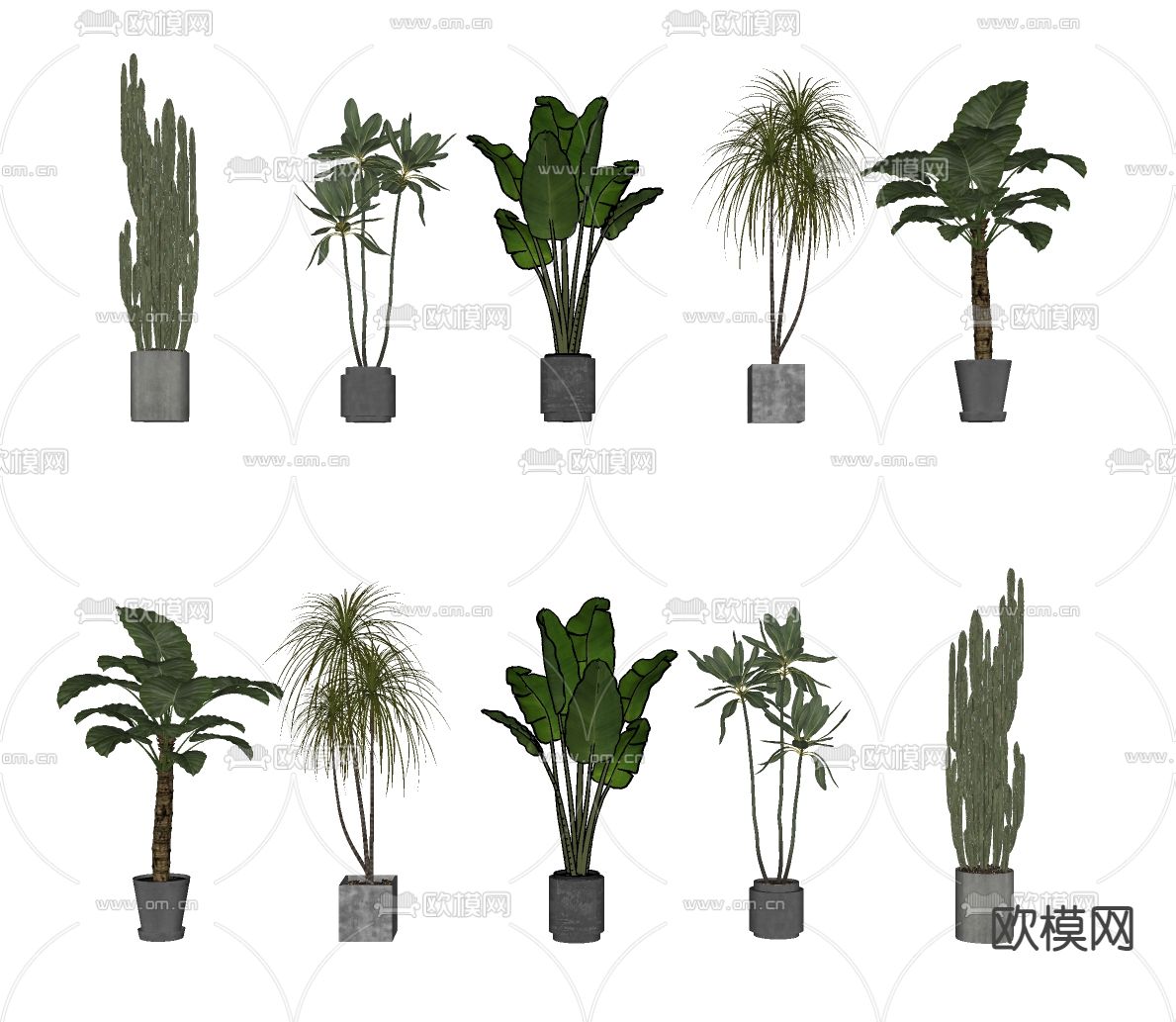 现代绿植盆栽su模型下载（渲染图2）
