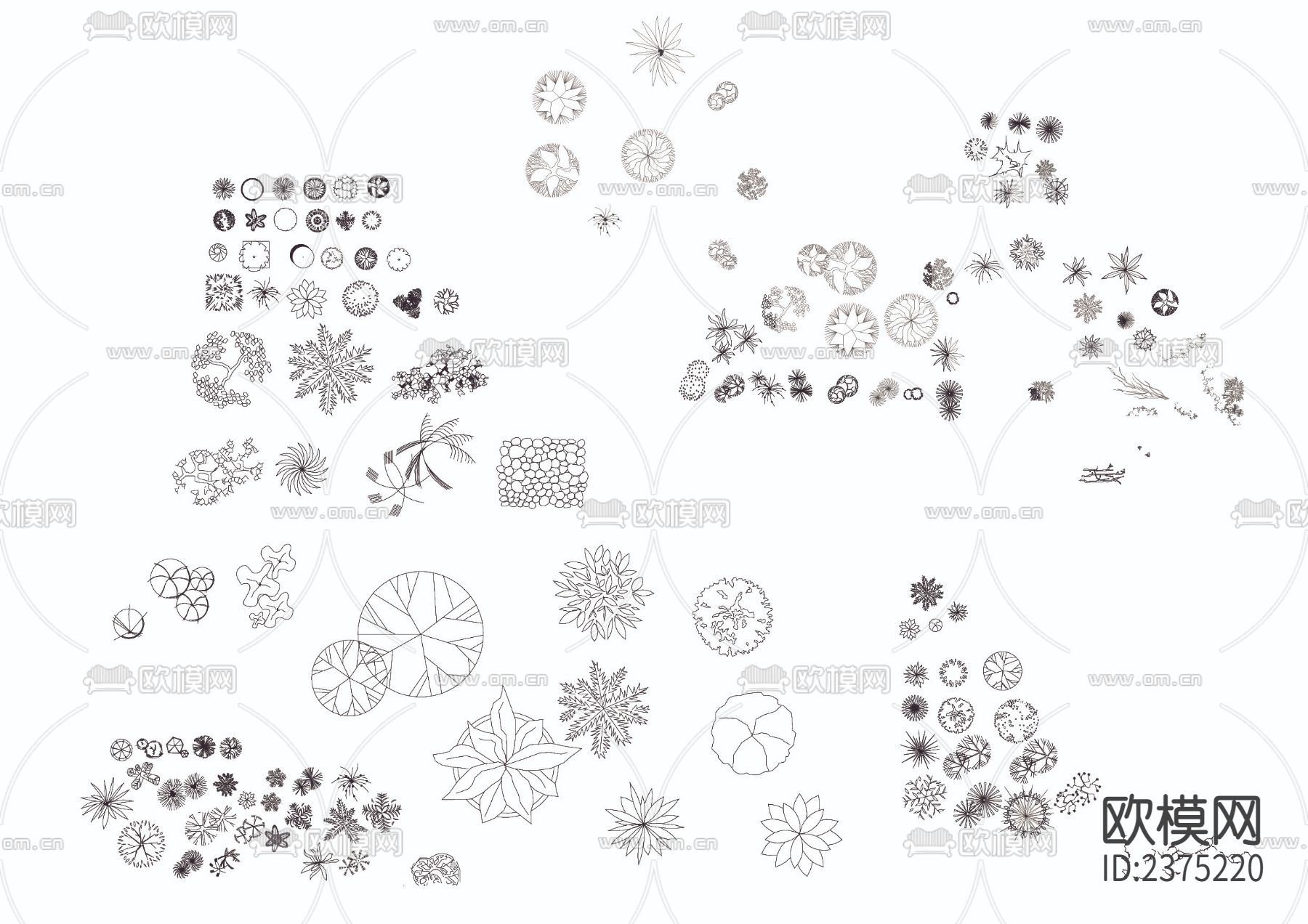 园林树CAD图库下载（渲染图3）