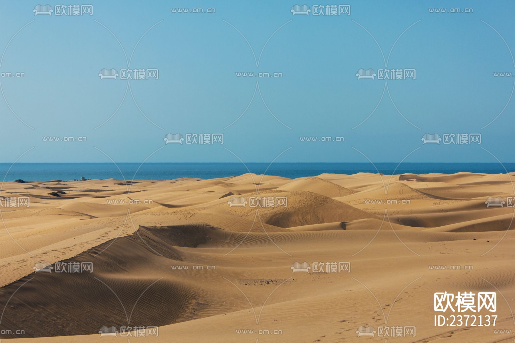 沙漠外景贴图下载