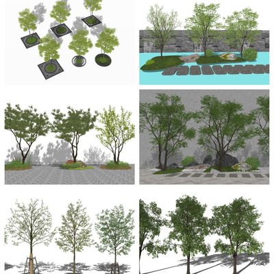  景观树 树木 花树su模型 