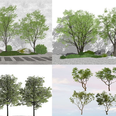  景观树 树木 花树su模型 