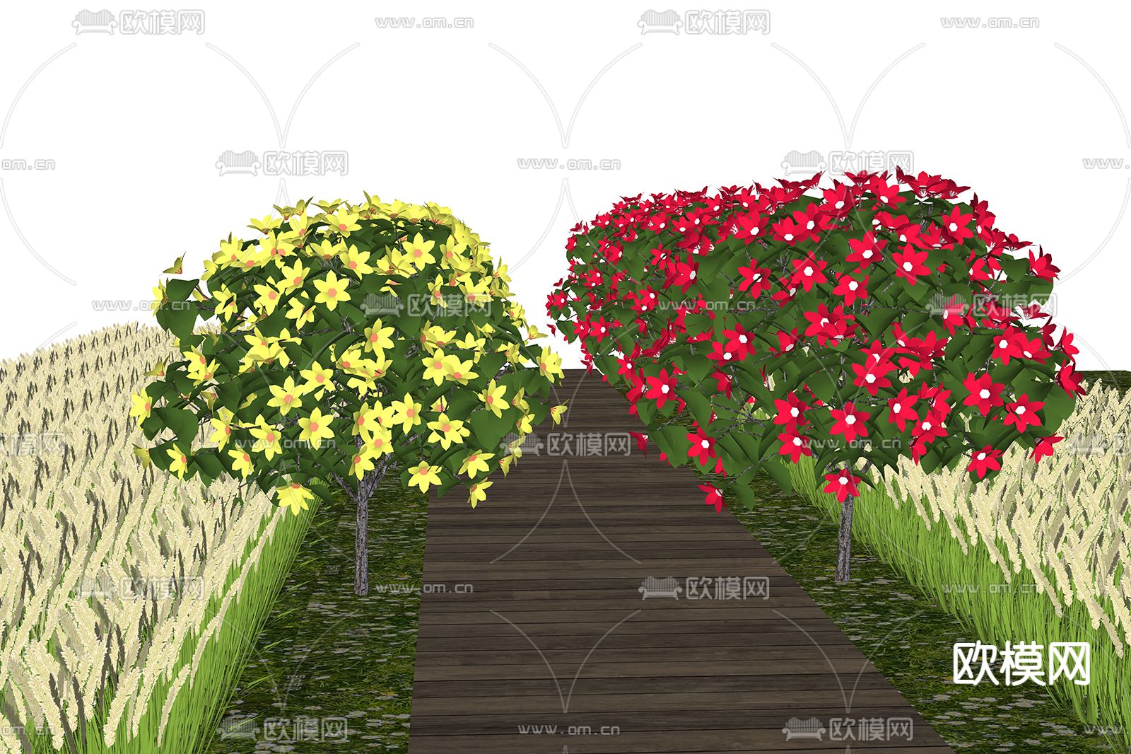 狼尾草  芦苇 灌木su模型下载