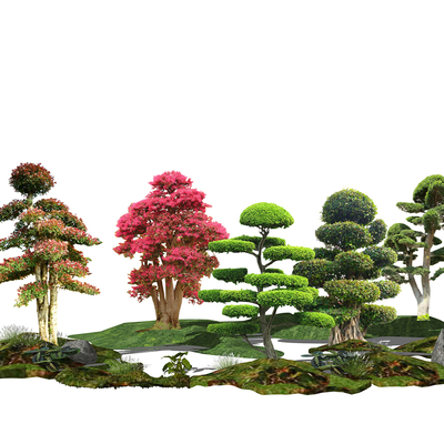  现代景观树2d组件su模型 