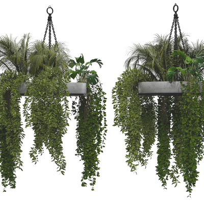 绿植藤蔓 吊篮su模型 