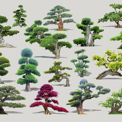  现代造型景观树2d组件su模型 