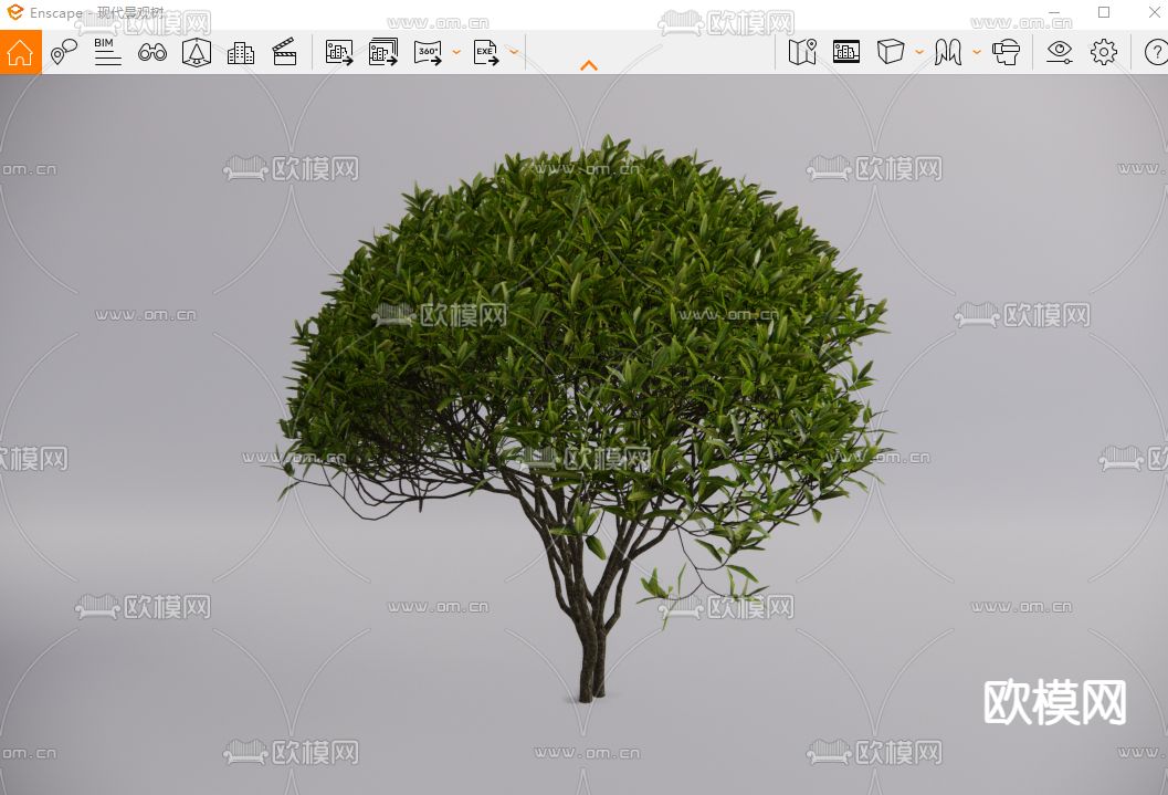 现代景观树 大树 行道树su模型