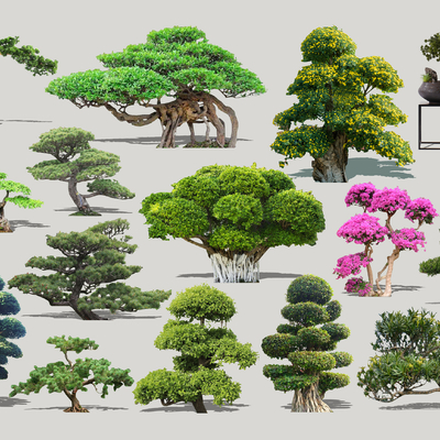  现代造型景观树2d组件su模型 
