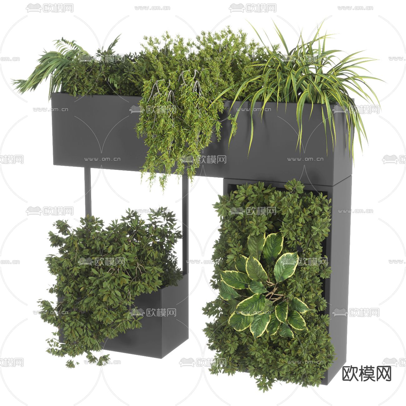 绿植盆栽 植物花箱3d模型下载（渲染图1）