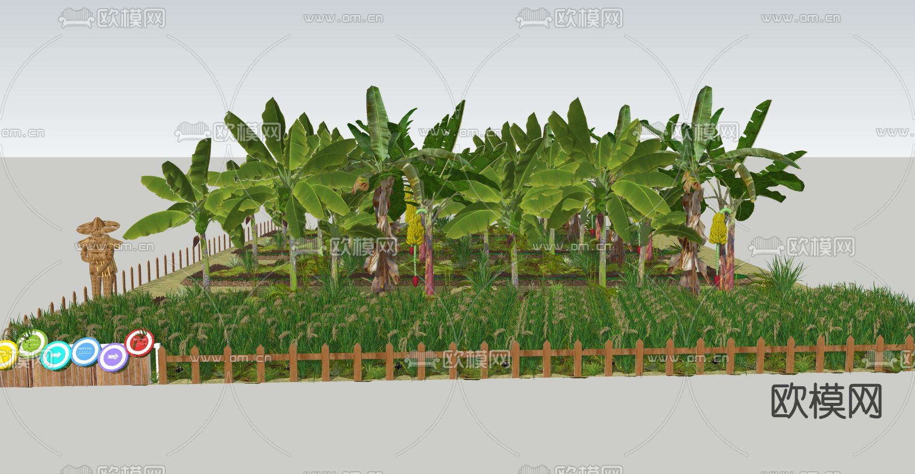 现代香蕉树 芭蕉树 菜园su模型