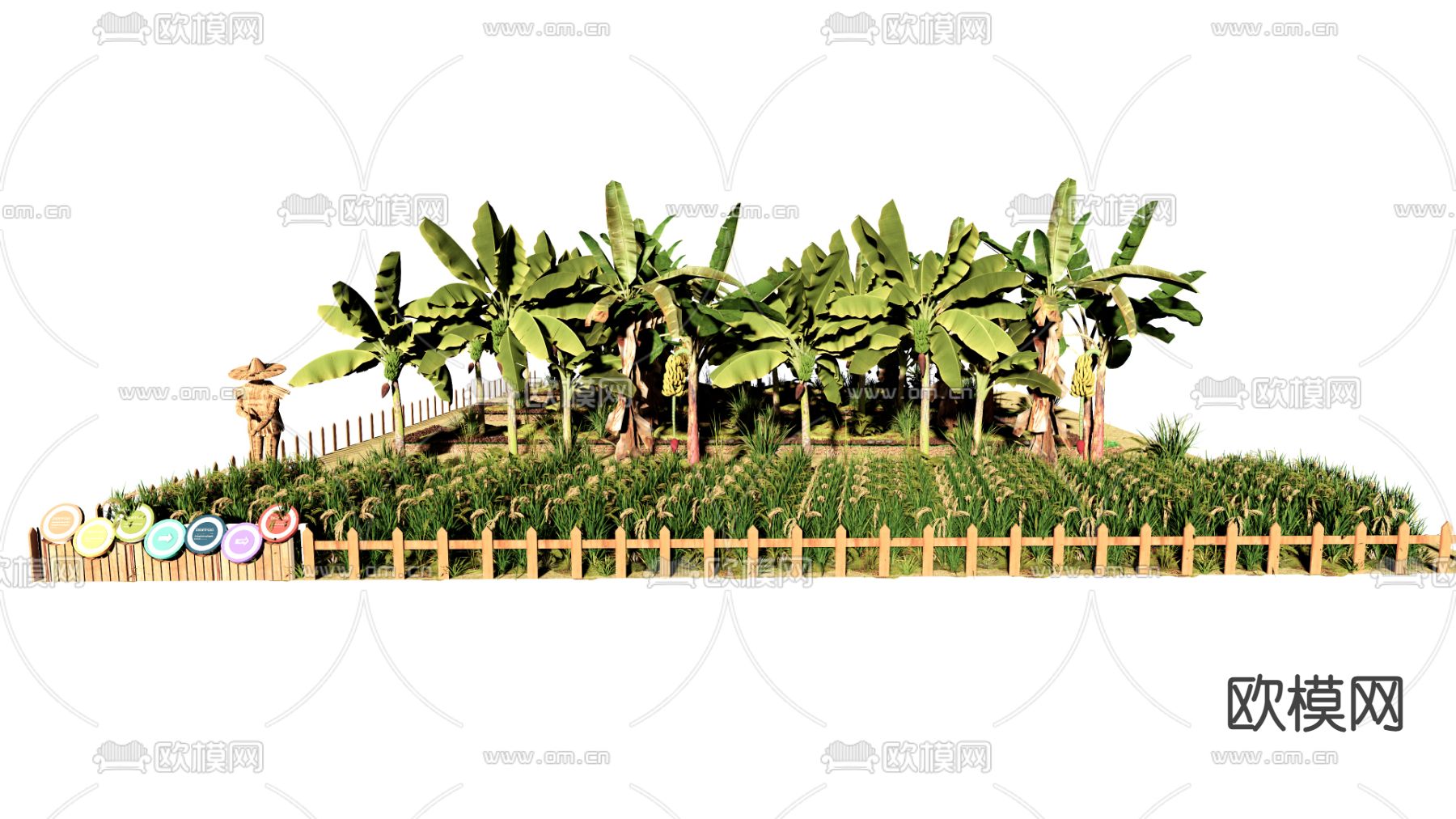 现代香蕉树 芭蕉树 菜园su模型