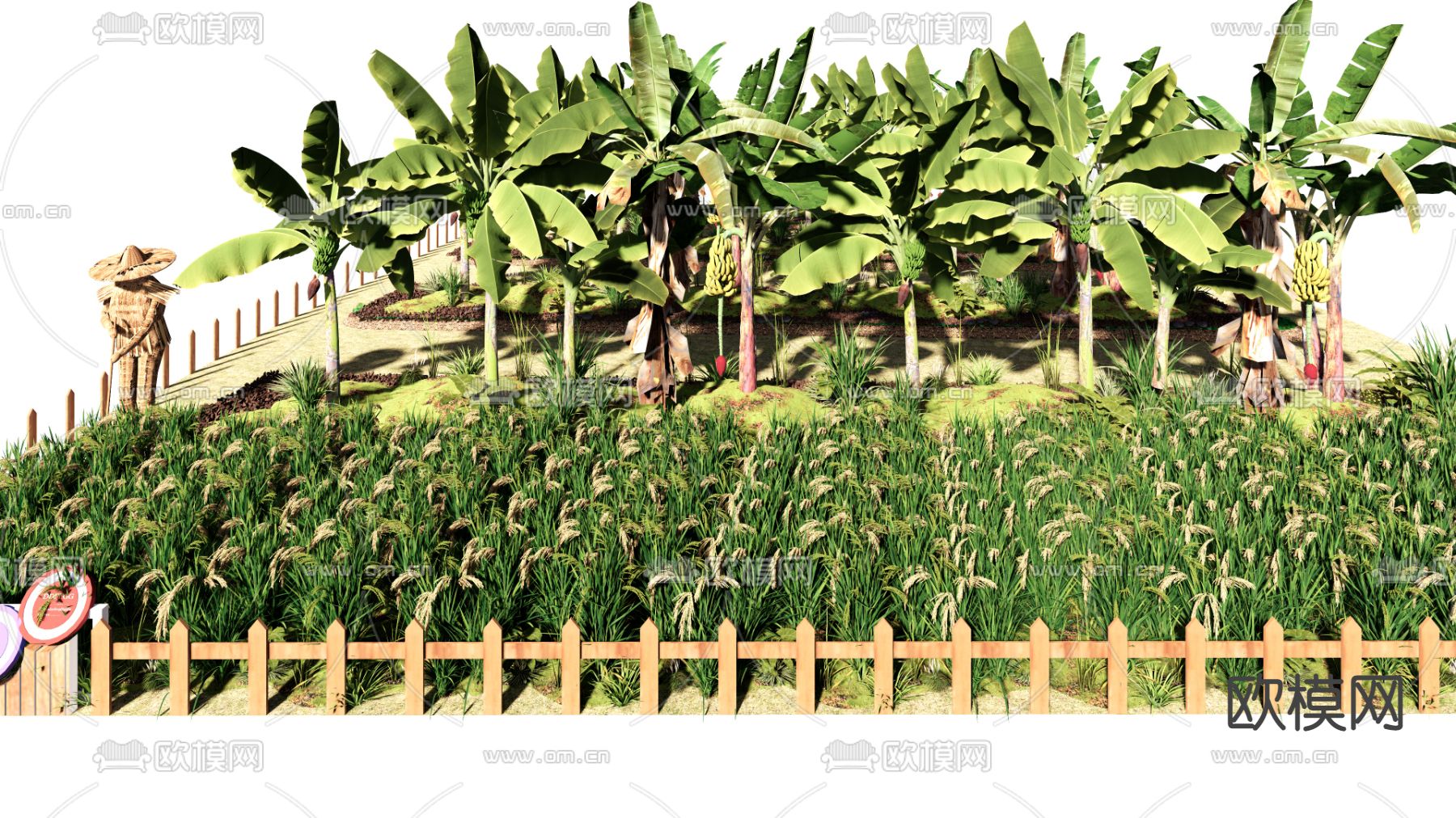 现代香蕉树 芭蕉树 菜园su模型