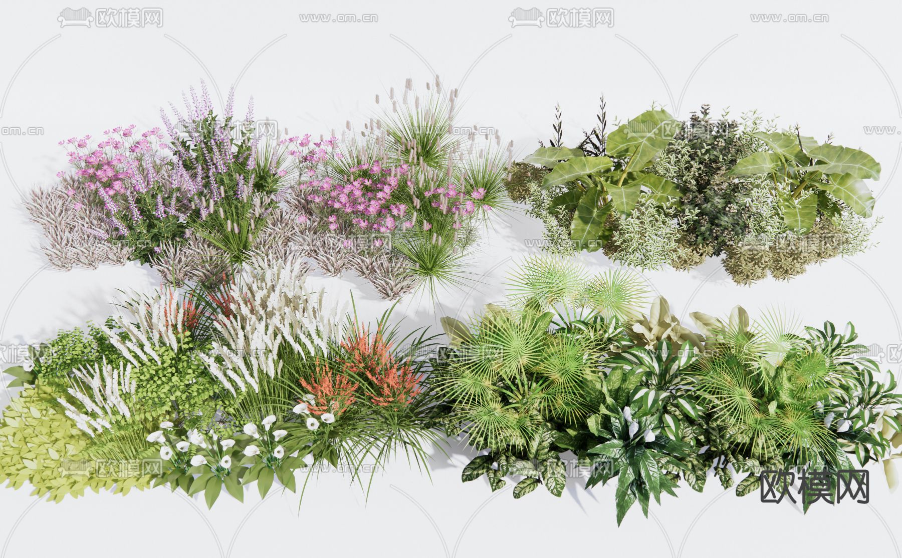 现代花草 灌木丛3d模型下载_ID12215725_3dmax免费模型-欧模网
