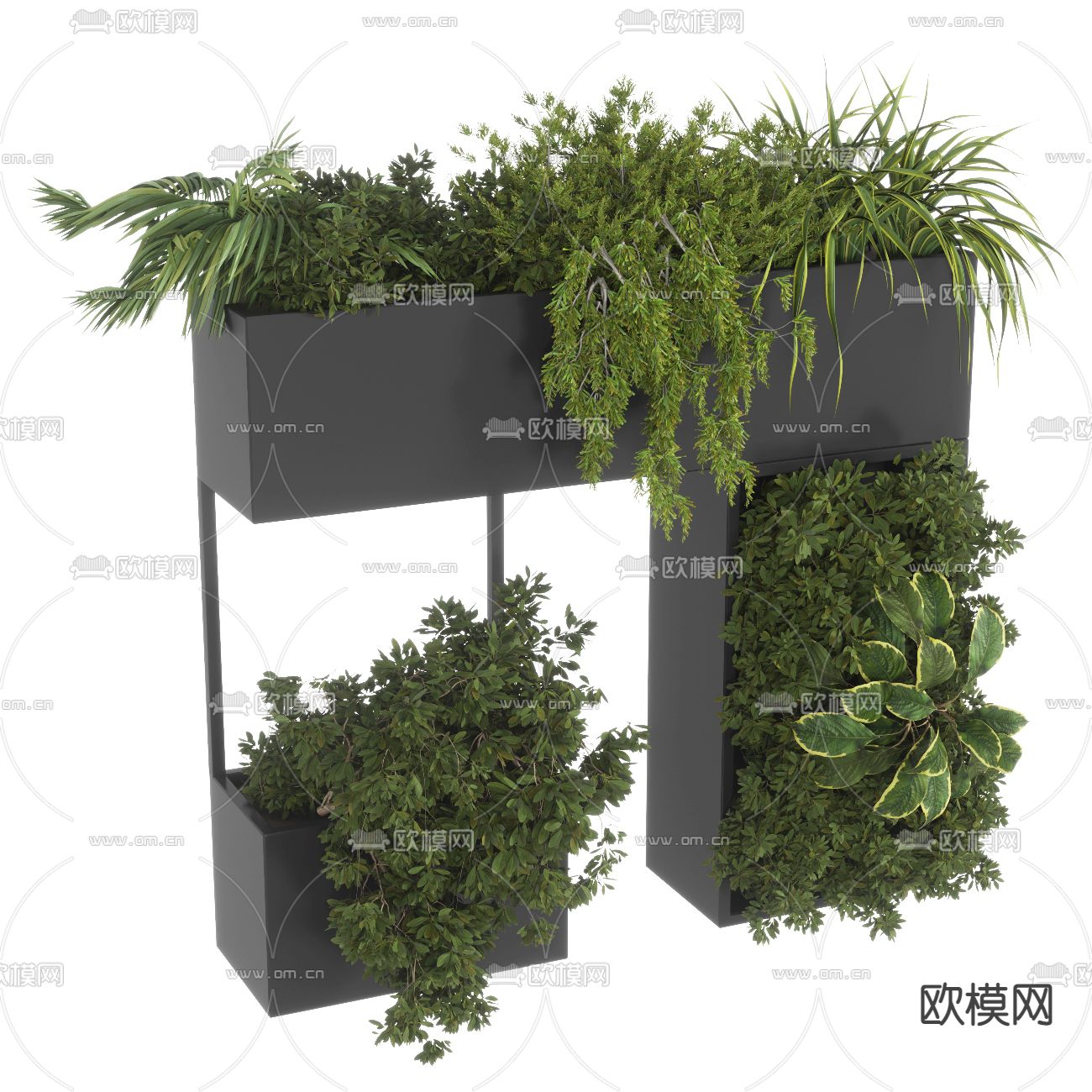 绿植盆栽 植物花箱3d模型下载（渲染图2）