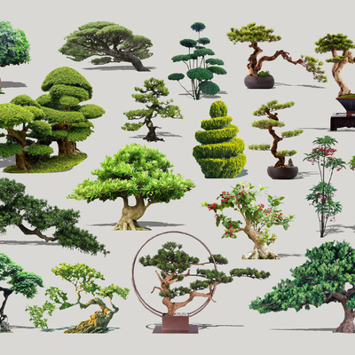  现代造型景观树2d组件su模型 