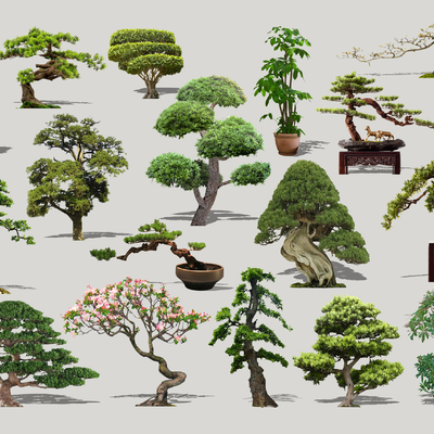  现代造型景观树2d组件su模型 